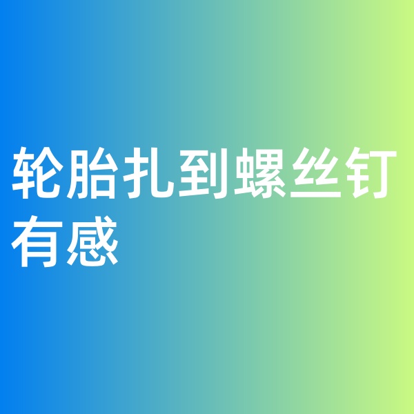鈀碳回收，輪胎扎到螺絲釘有感