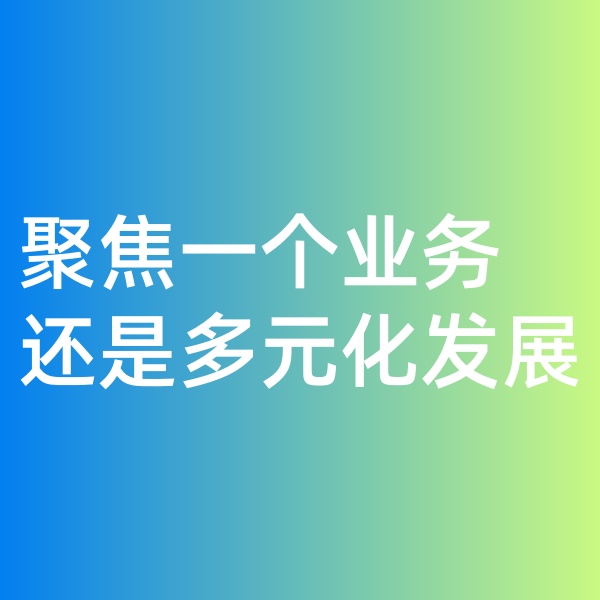 鈀碳回收, 聚焦一個業(yè)務(wù)，還是多元化發(fā)展